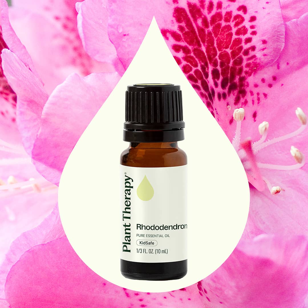 Rhododendron Essential Oil