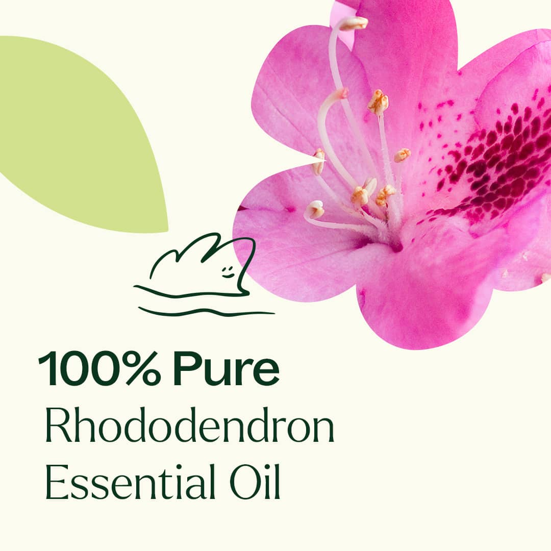 Rhododendron Essential Oil