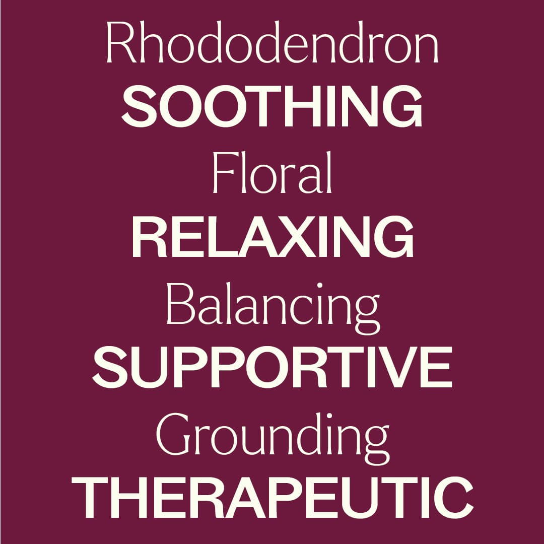 Rhododendron Essential Oil