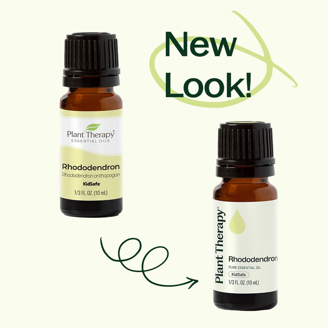 Rhododendron Essential Oil