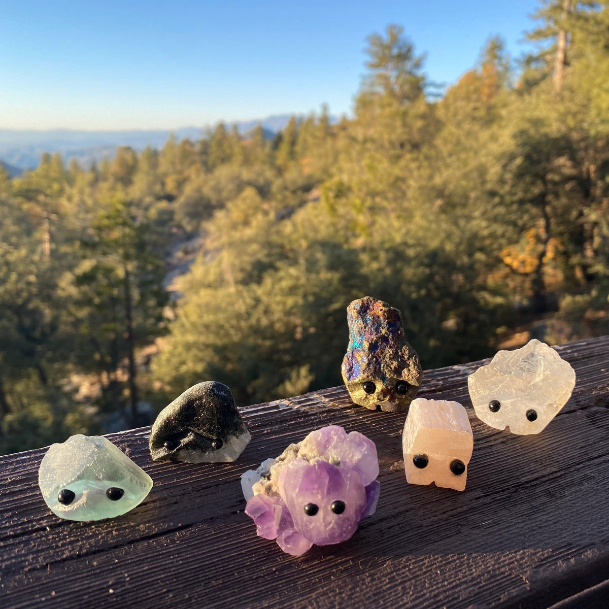 Stone Buddies & Rock Friends