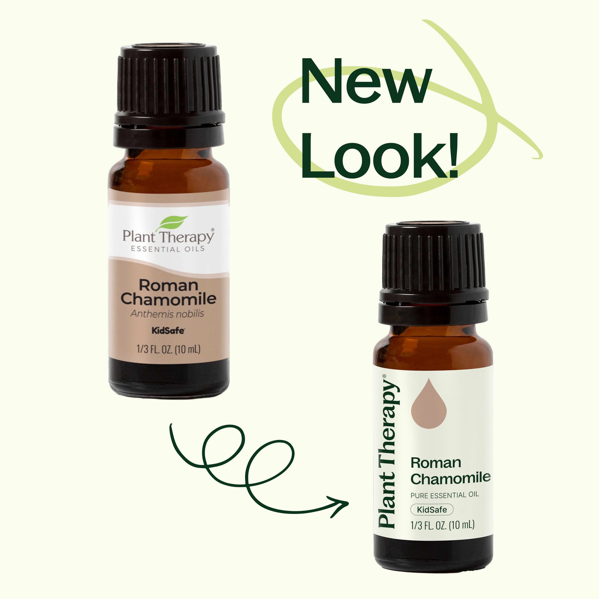 Roman Chamomile Essential Oil