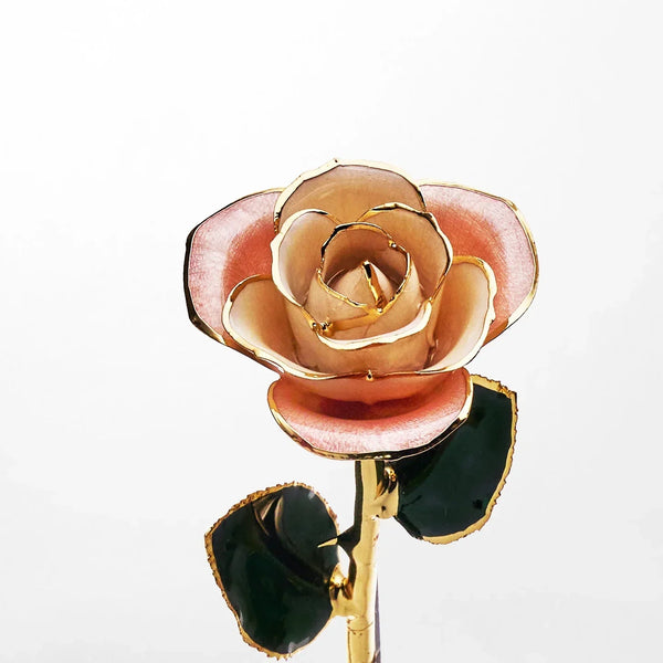 Gold Dipped Rose 11.5