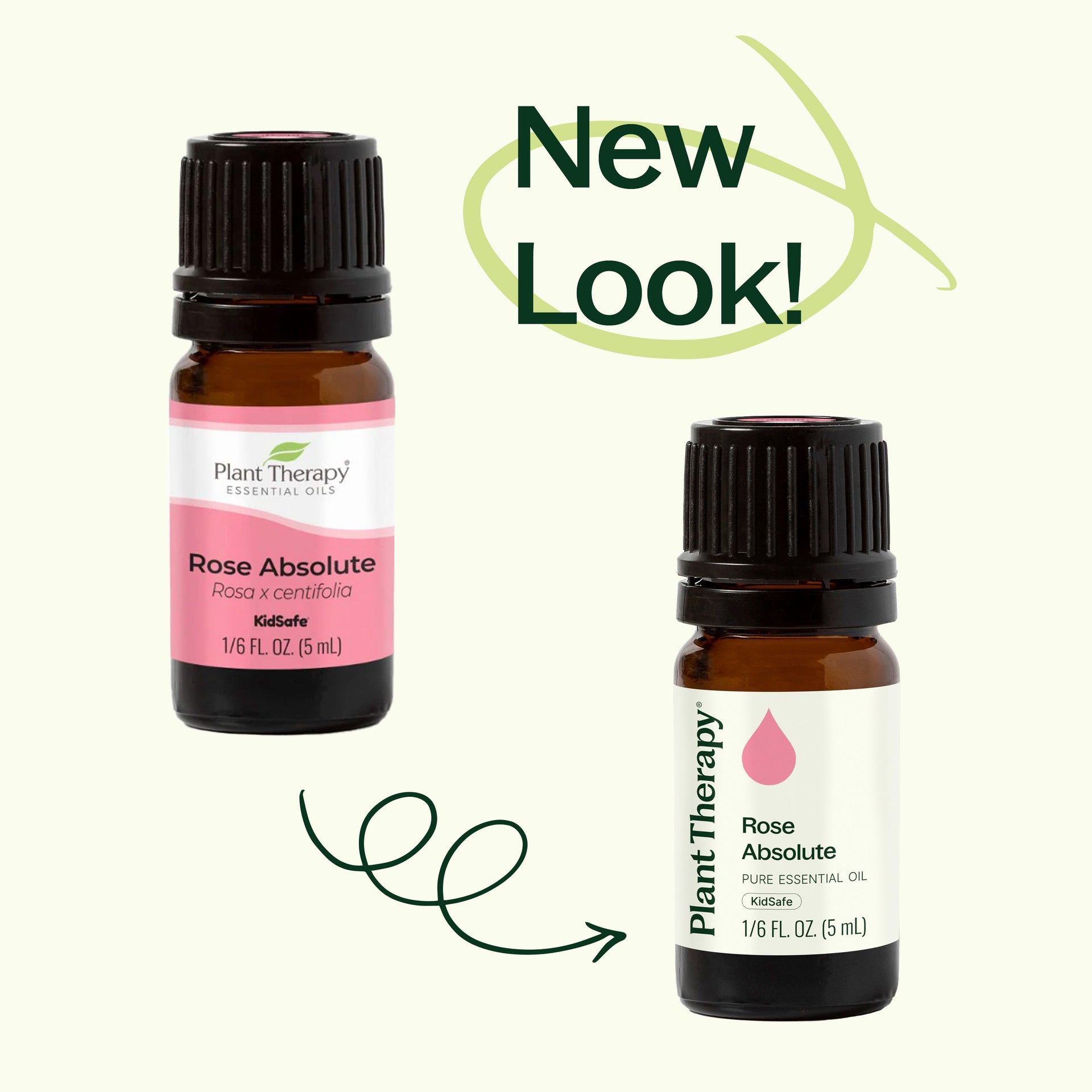 Rose Absolute Essential Oil