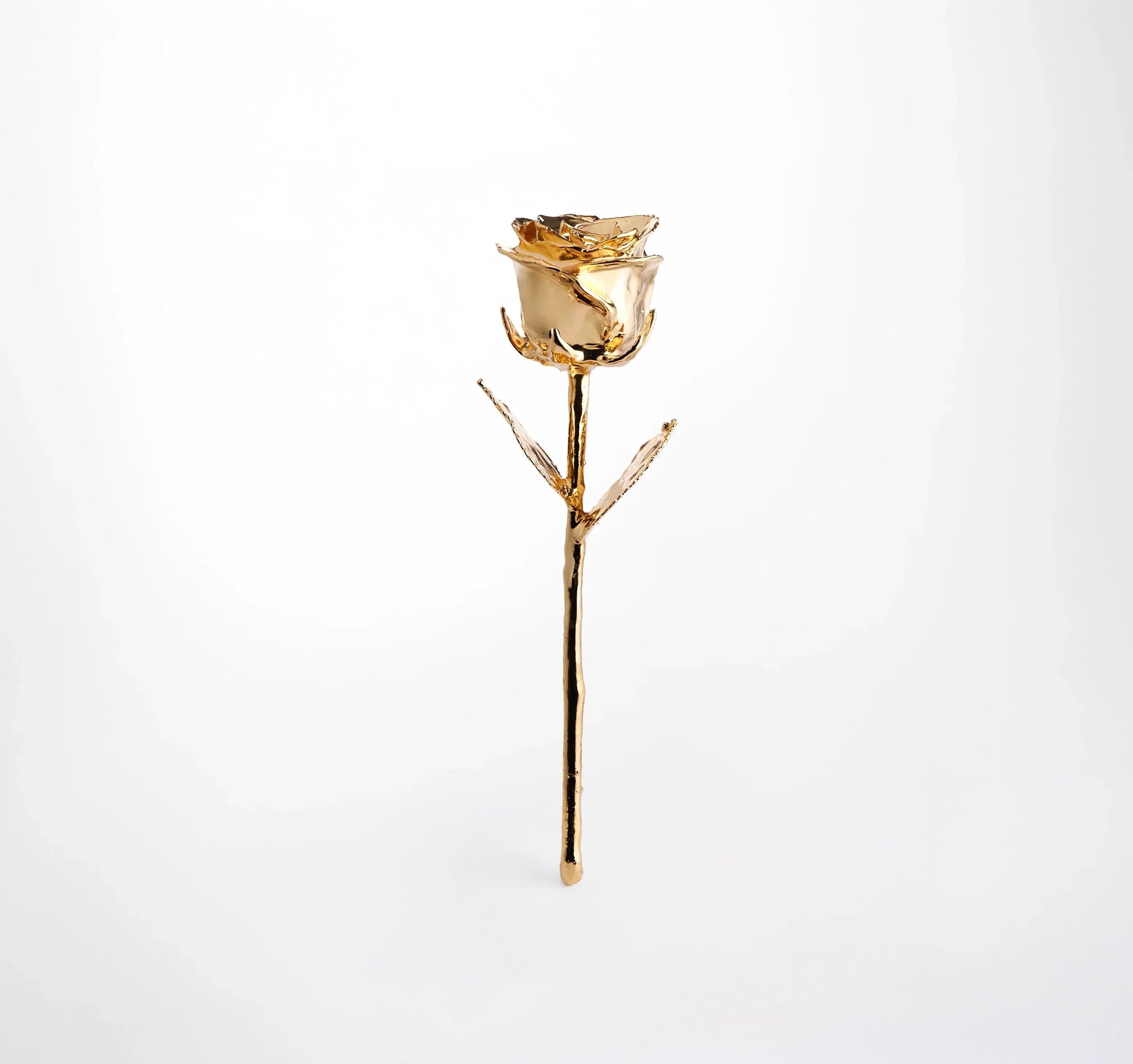 24 Karat Gold Plated Rose 11.5