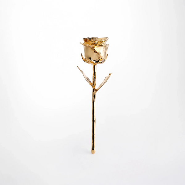 24K Gold Dipped Rose 7