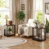 Rubber Wood Side Table Set of 2 with 2-Layer Storage Shelves and Metal Frame-Walnut