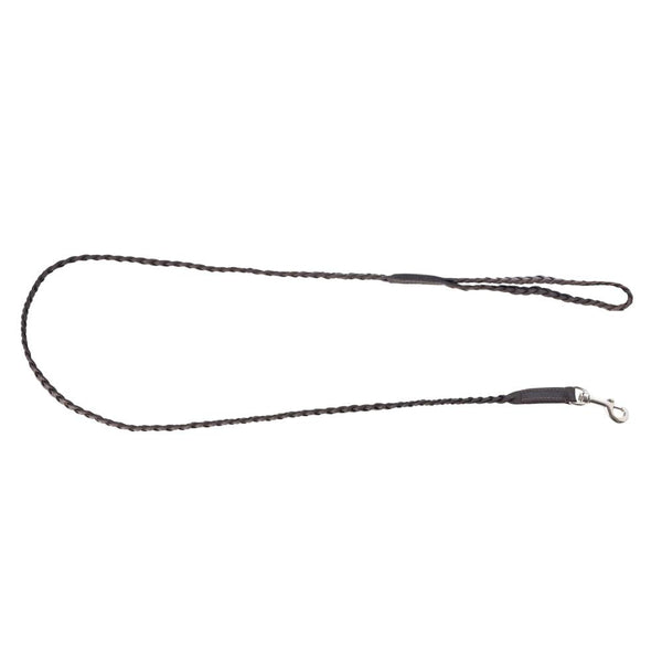 Trailbound Leather Dog Leash in Rustic Brown with Braided Design and Metal Hook