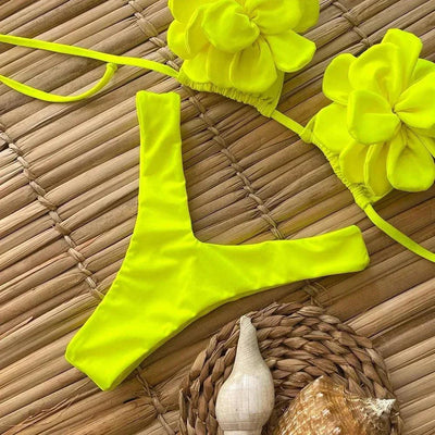Shelly two piece swimsuit - Sexikinis Swim