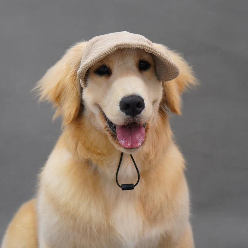 Large Dog Hat Border Collie Samoyed Husky Labrador Golden Retriever Belgian Malinois Dobermann Big Dog Caps sunhat OneLoveCanada