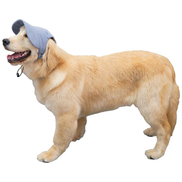 Large Dog Hat Border Collie Samoyed Husky Labrador Golden Retriever Belgian Malinois Dobermann Big Dog Caps sunhat OneLoveCanada