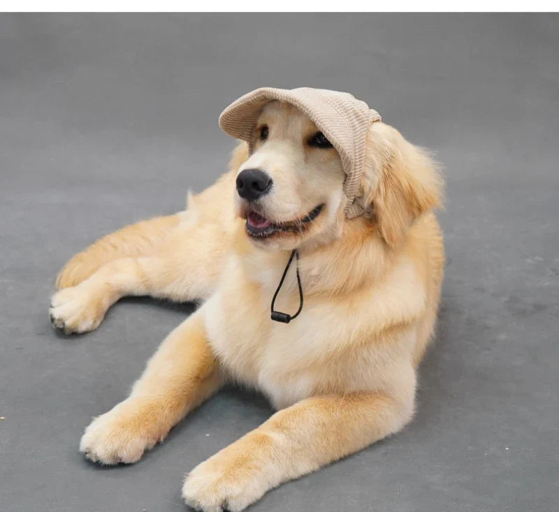Large Dog Hat Border Collie Samoyed Husky Labrador Golden Retriever Belgian Malinois Dobermann Big Dog Caps sunhat OneLoveCanada