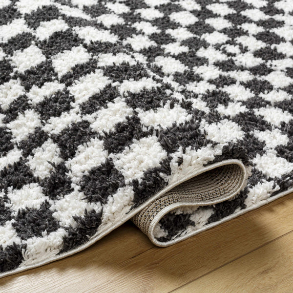 Kieu Black & White Checkered Shag Rug