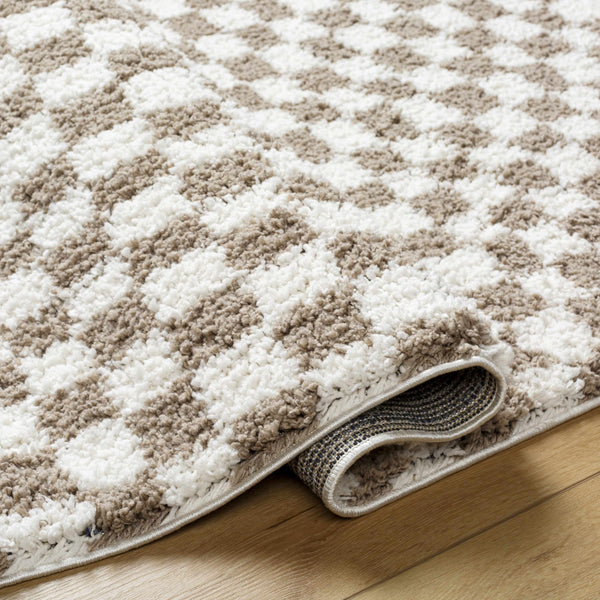 Kieu Taupe Checkered Shag Rug