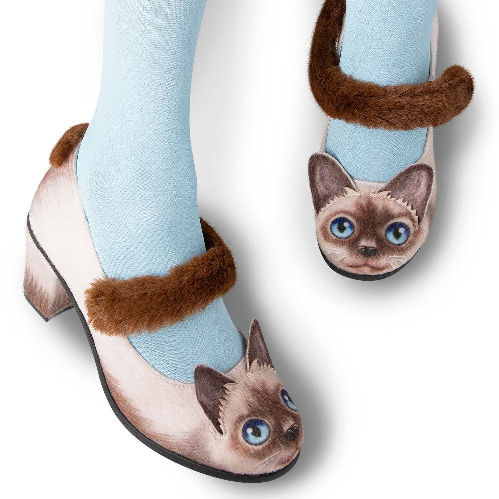 Shoes with cat design and blue tights on a white background