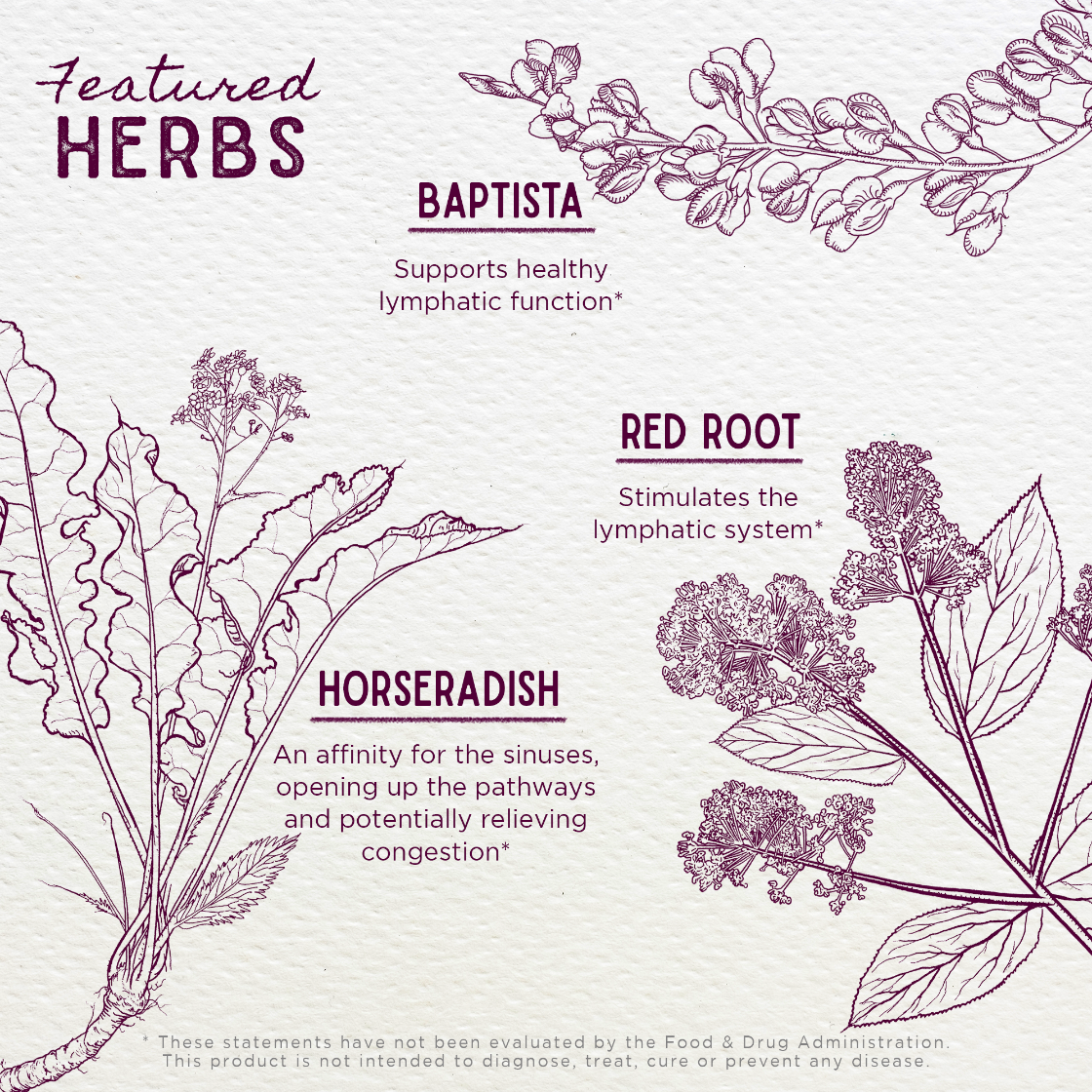 Illustrations of herbs with their names and benefits on a light purple background
