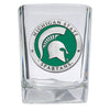 Michigan State University Square Shot
