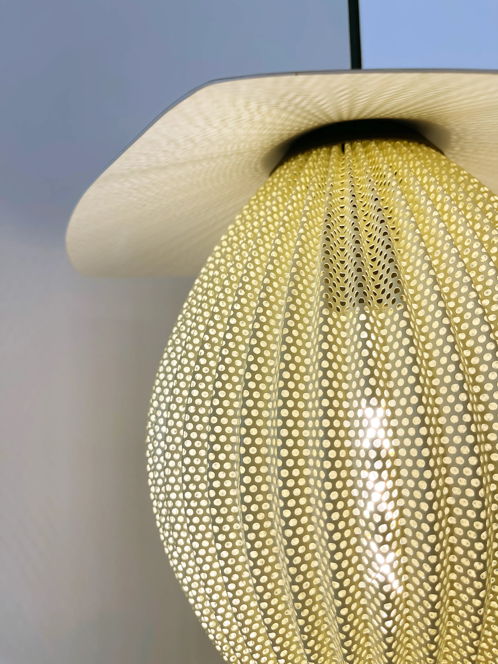 Satellite Egg Shape Pendant Lamp