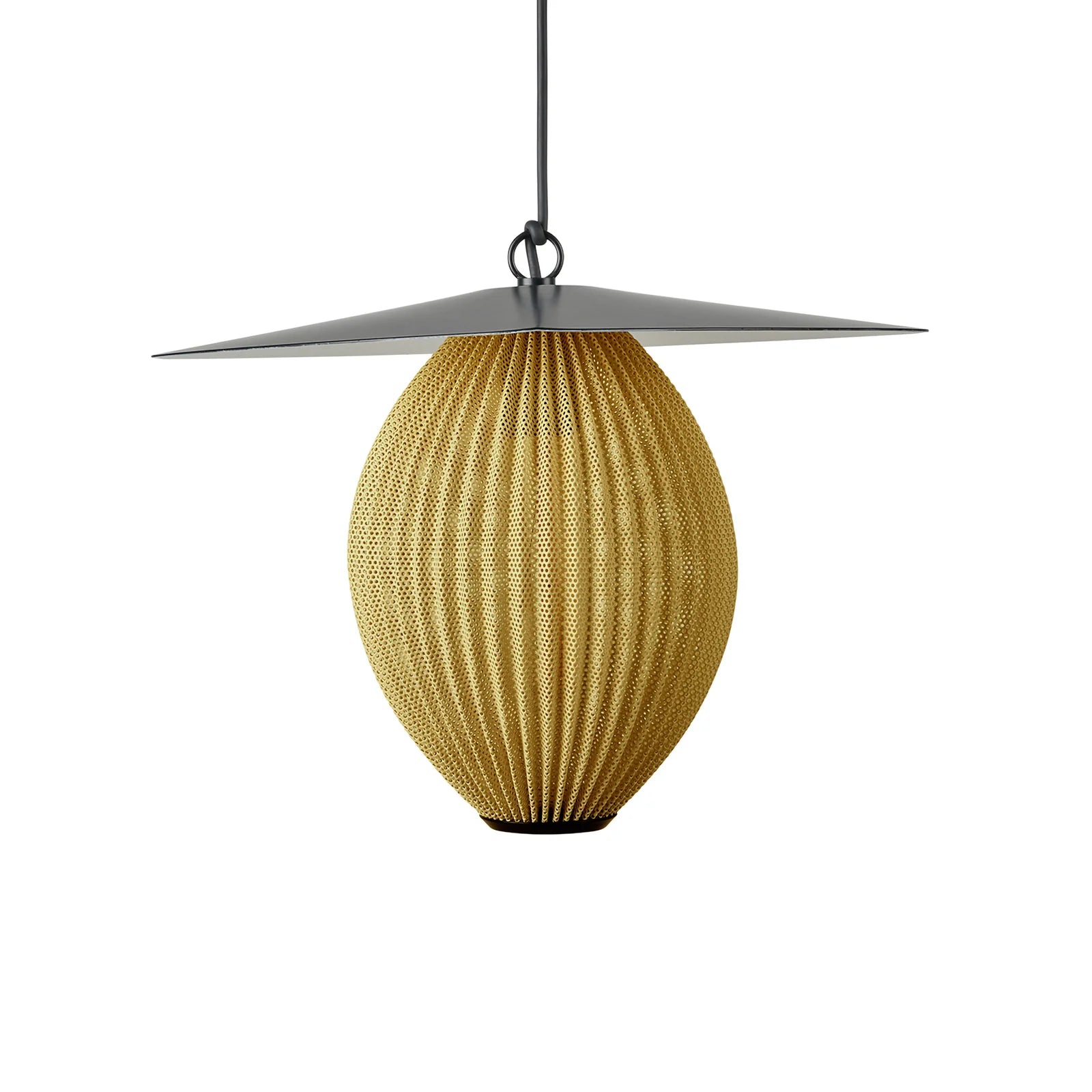 Satellite Egg Shape Pendant Lamp