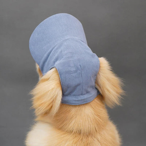 Large Dog Hat Border Collie Samoyed Husky Labrador Golden Retriever Belgian Malinois Dobermann Big Dog Caps sunhat OneLoveCanada