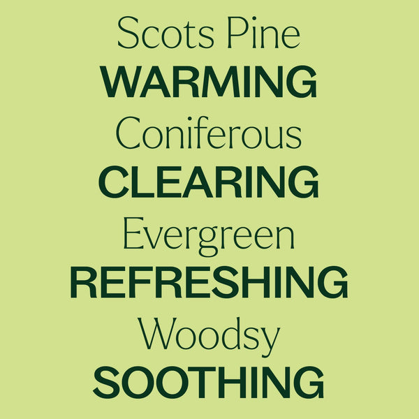 Scots Pine Essential Oil