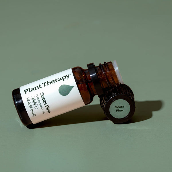 Scots Pine Essential Oil