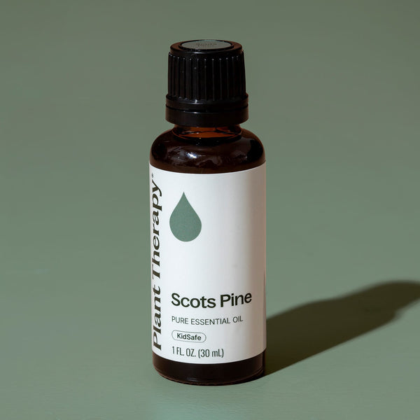 Scots Pine Essential Oil