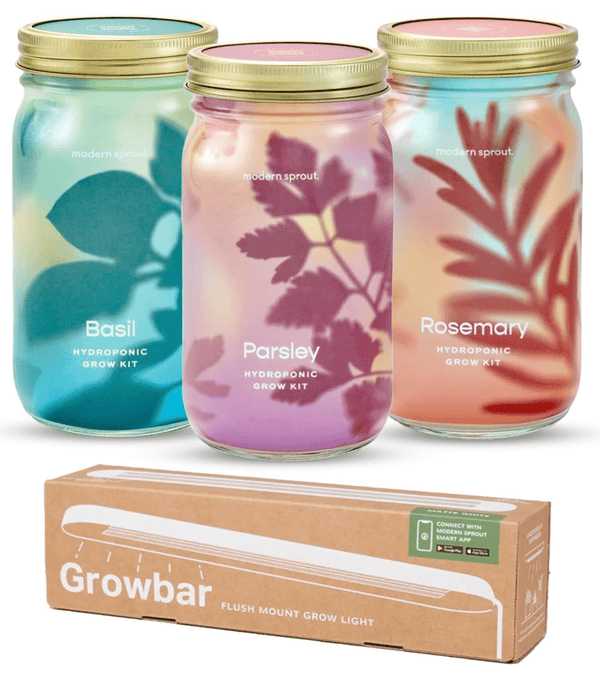 Garden Jars - Organic Herbs