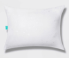 Economy Non-woven Toddler Pillow 12