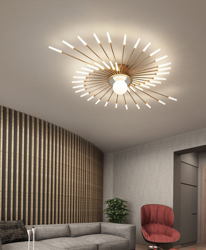 Modern Ceiling Light Iluminating