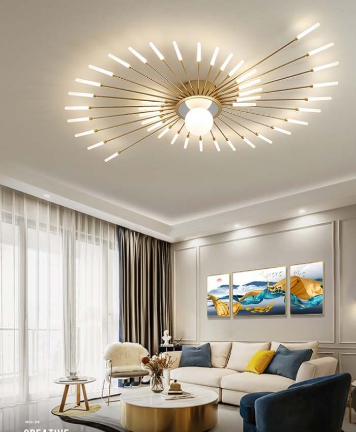 Modern Ceiling Light Iluminating