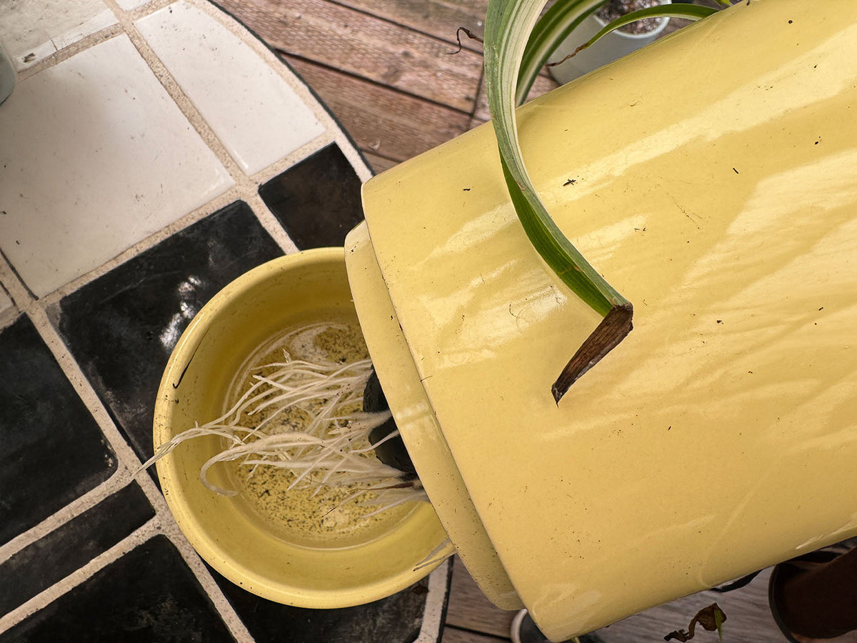 Urban Dweller Self-Watering Pot- Sand By Plantatorem