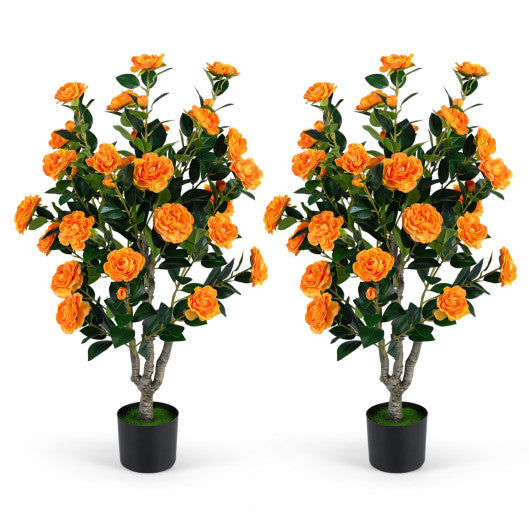 Set of 2 39.5