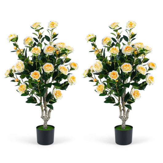 Set of 2 39.5