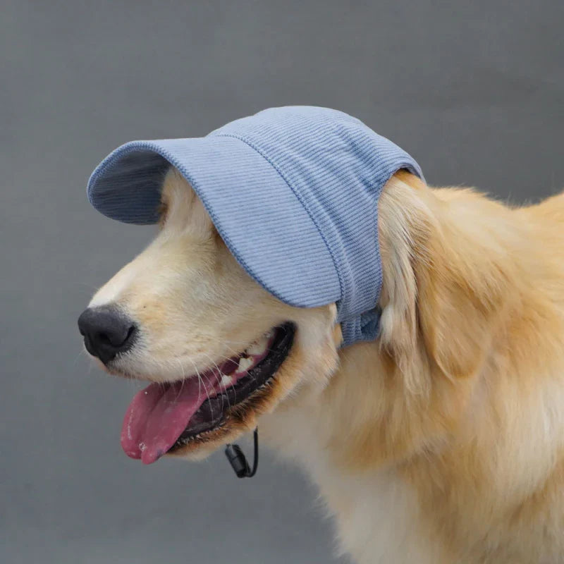 Large Dog Hat Border Collie Samoyed Husky Labrador Golden Retriever Belgian Malinois Dobermann Big Dog Caps sunhat OneLoveCanada