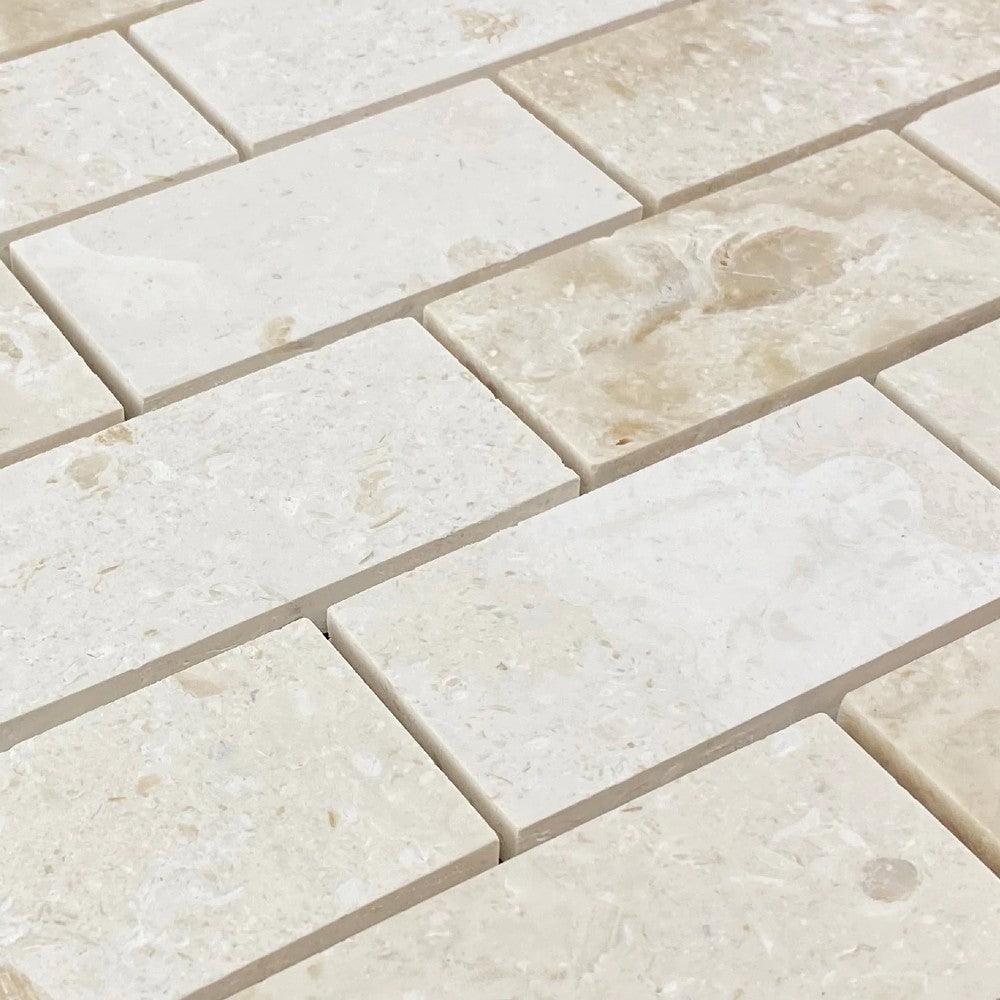 Shell Stone Limestone 2