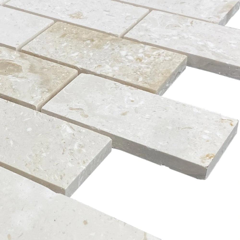 Shell Stone Limestone 2