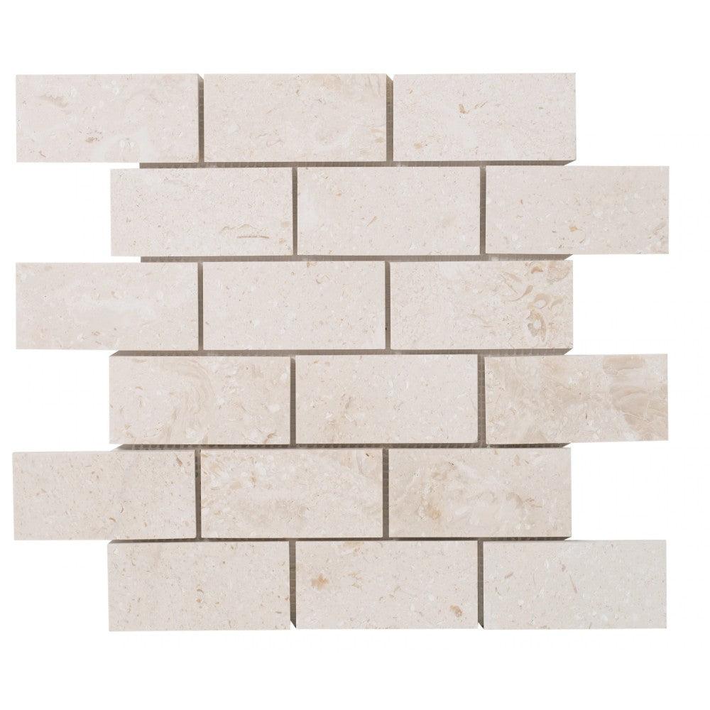 Shell Stone Limestone 2