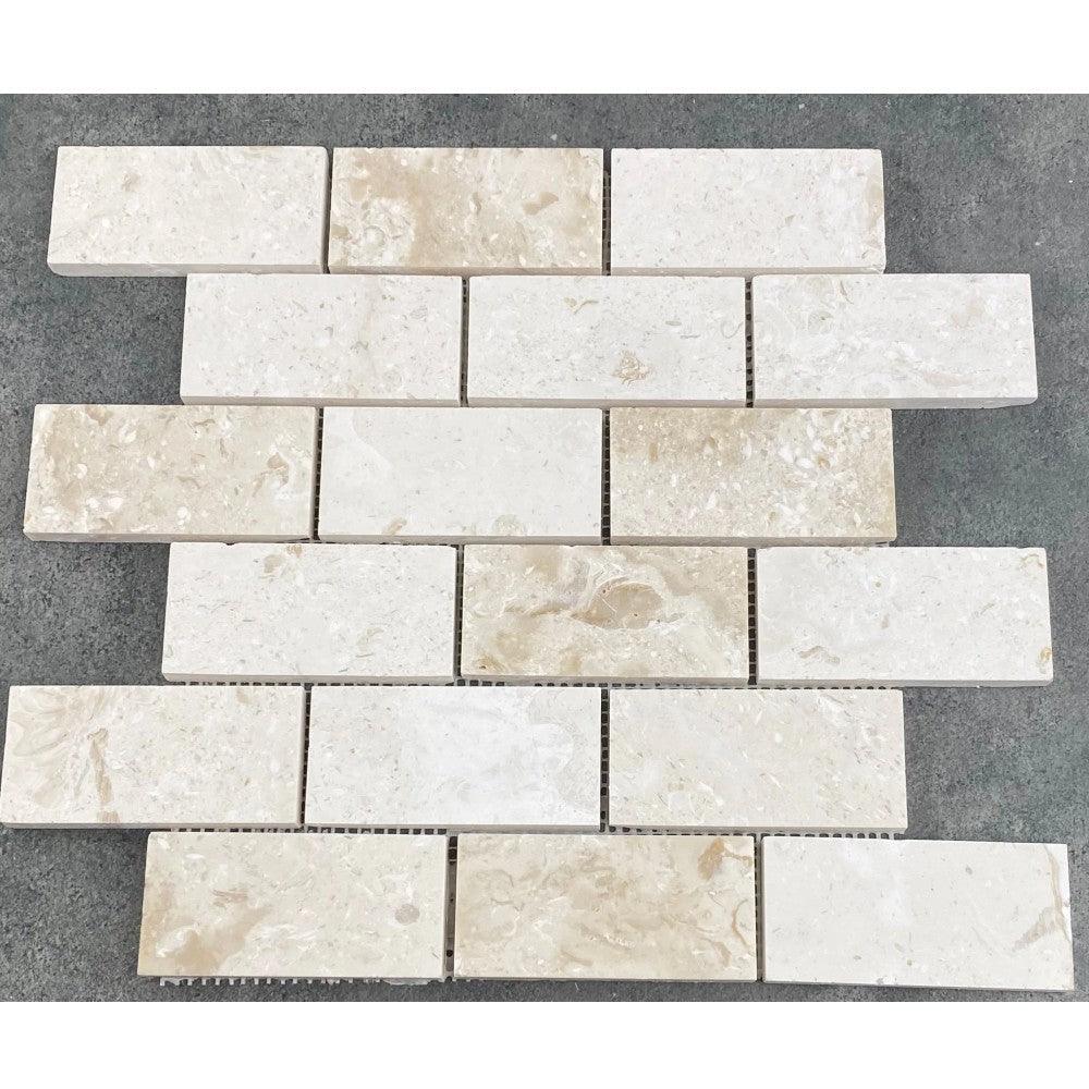 Shell Stone Limestone 2