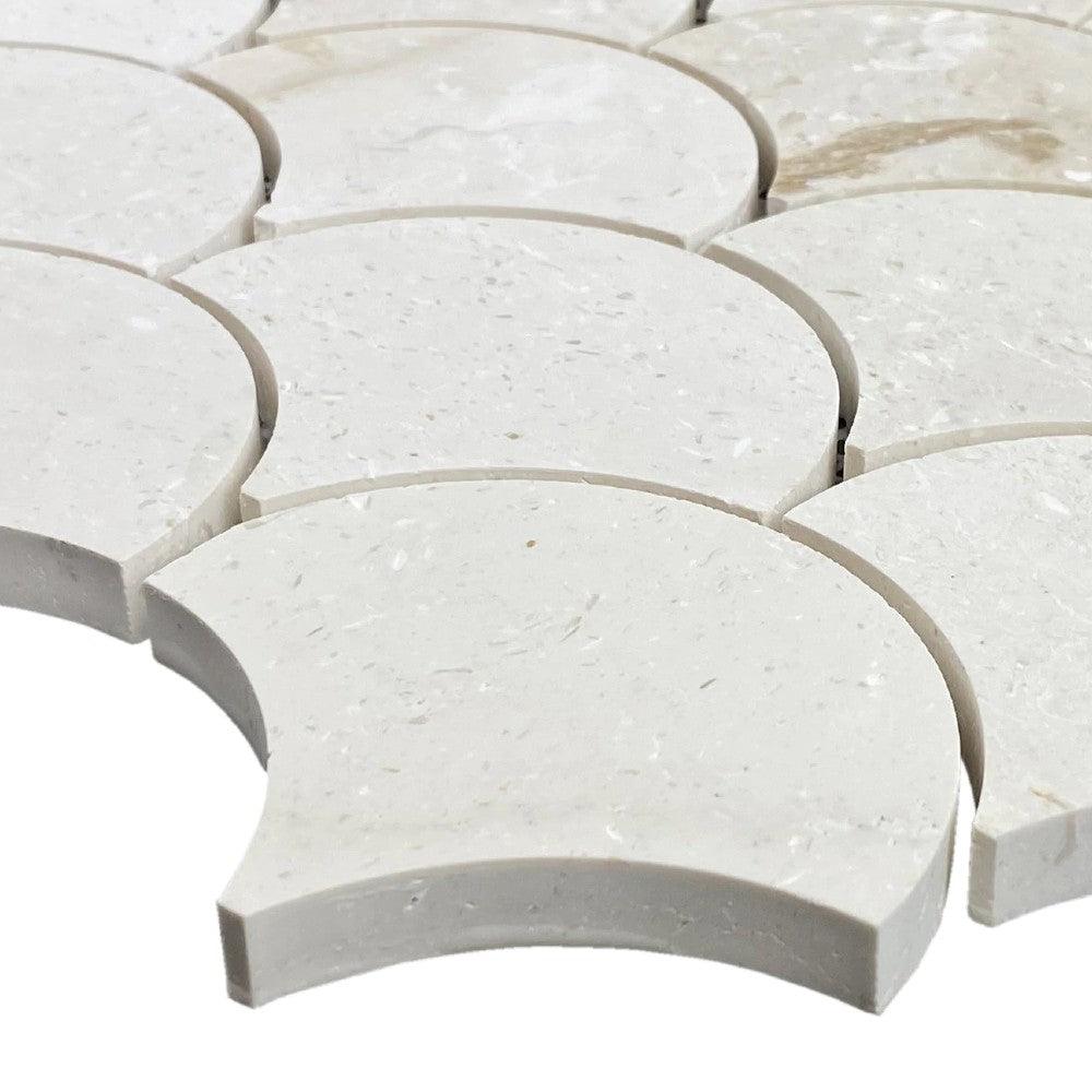 Shell Stone Limestone Laguna Design on 12