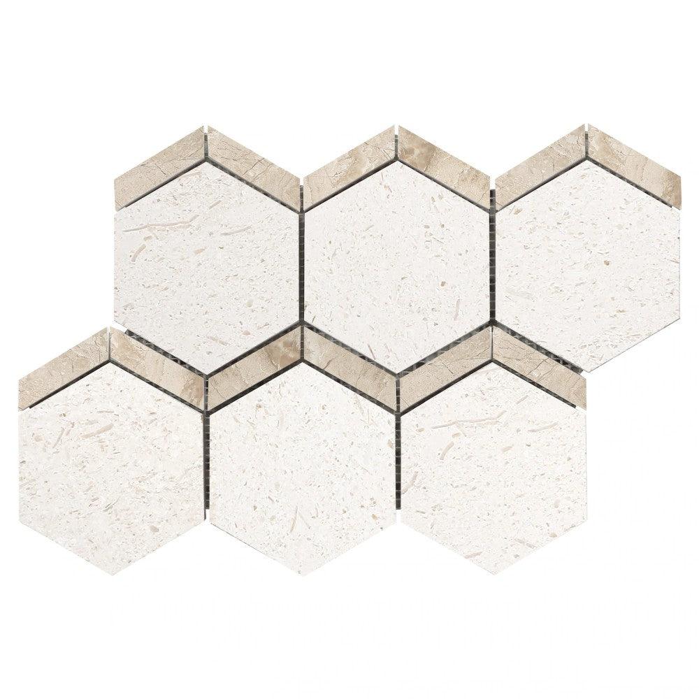 Shell Stone Limestone Naples Design on 12