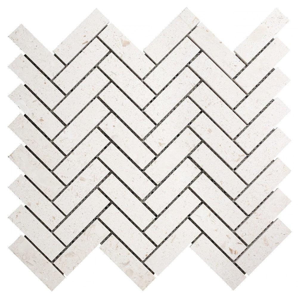 Shell Stone Limestone 1