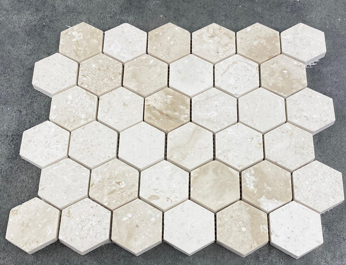 Shell Stone Limestone 2