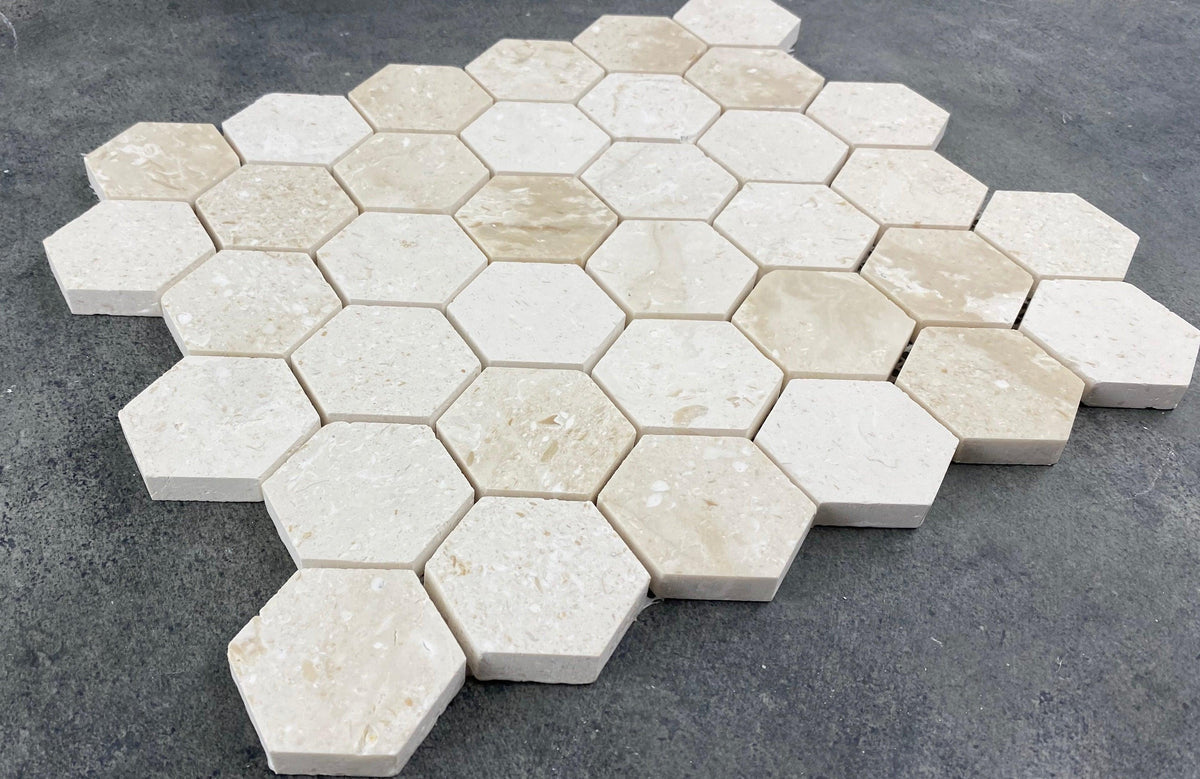 Shell Stone Limestone 2