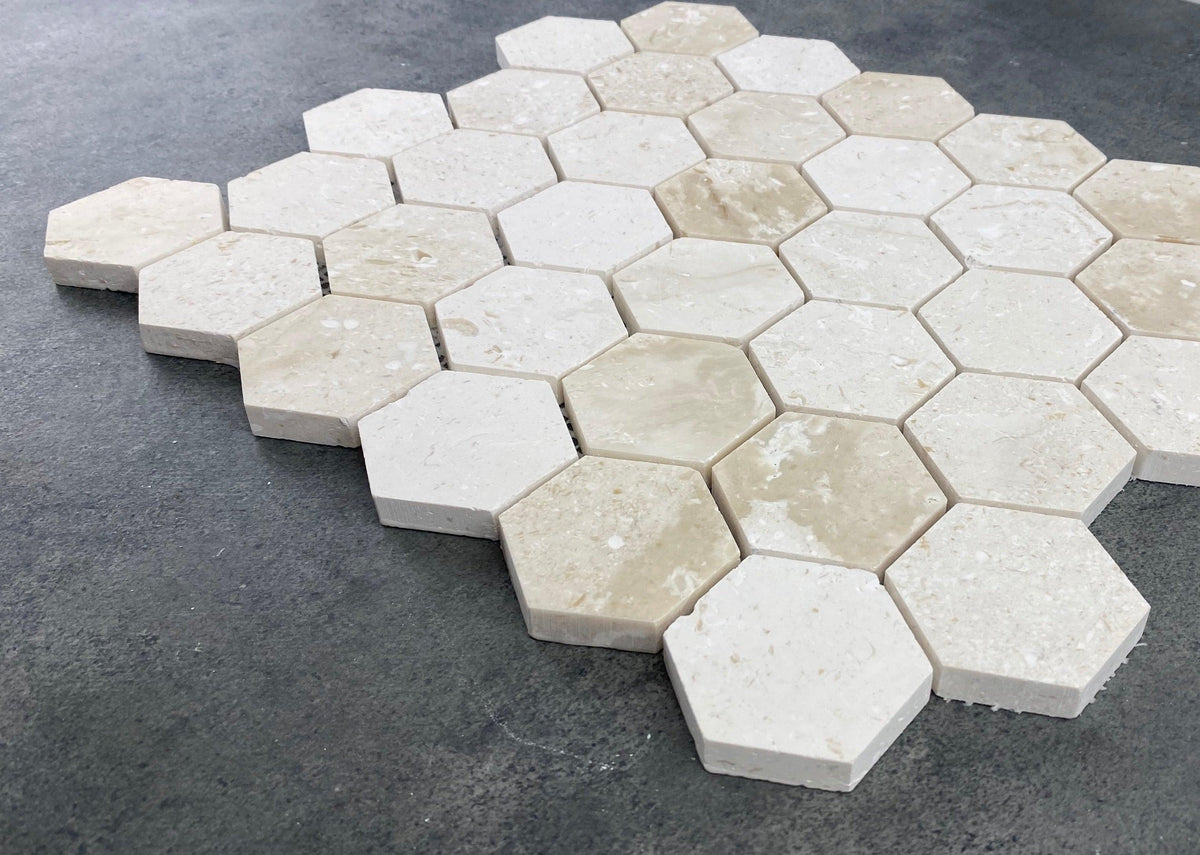 Shell Stone Limestone 2