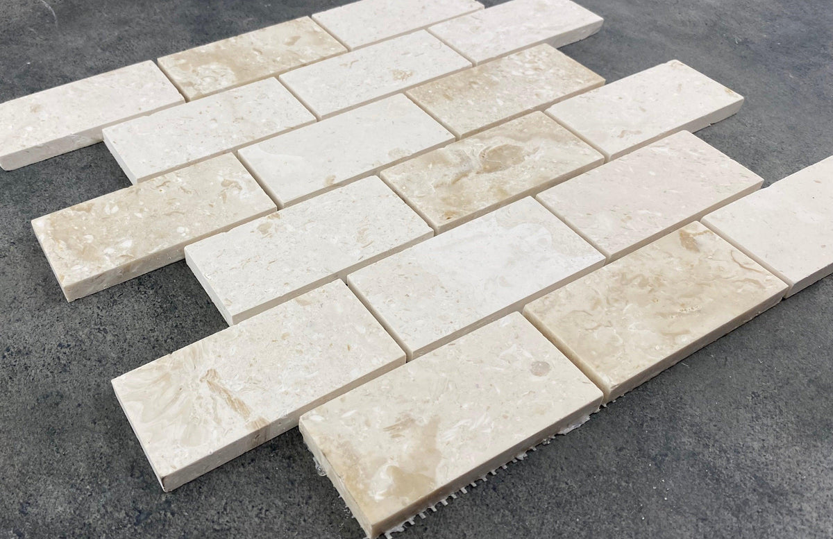 Shell Stone Limestone 2
