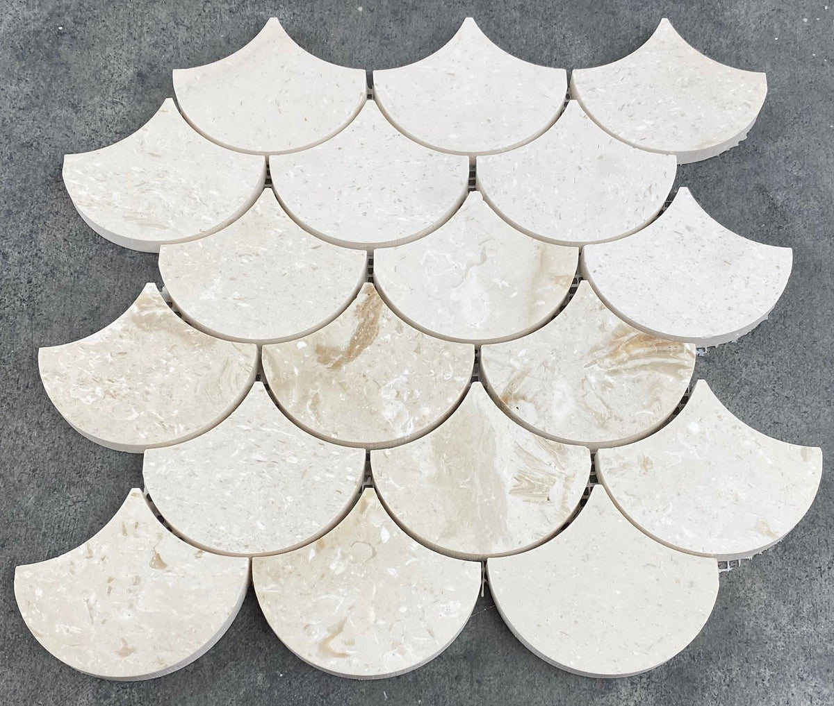 Shell Stone Limestone Laguna Design on 12