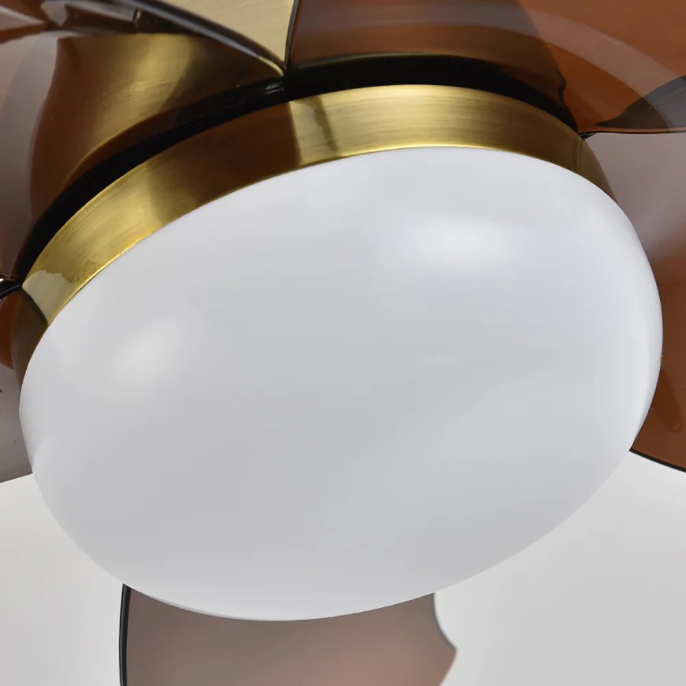 Small 5 Blades Ceiling Fan Lamp
