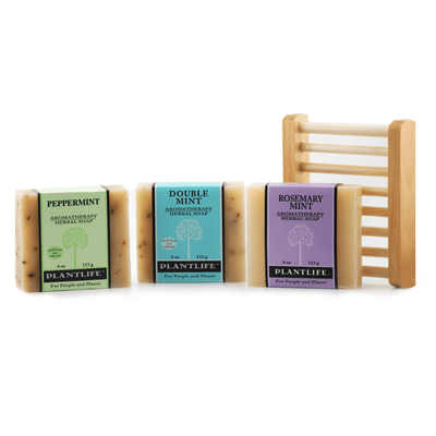 Starter Soap Bundle with a Wood Dish