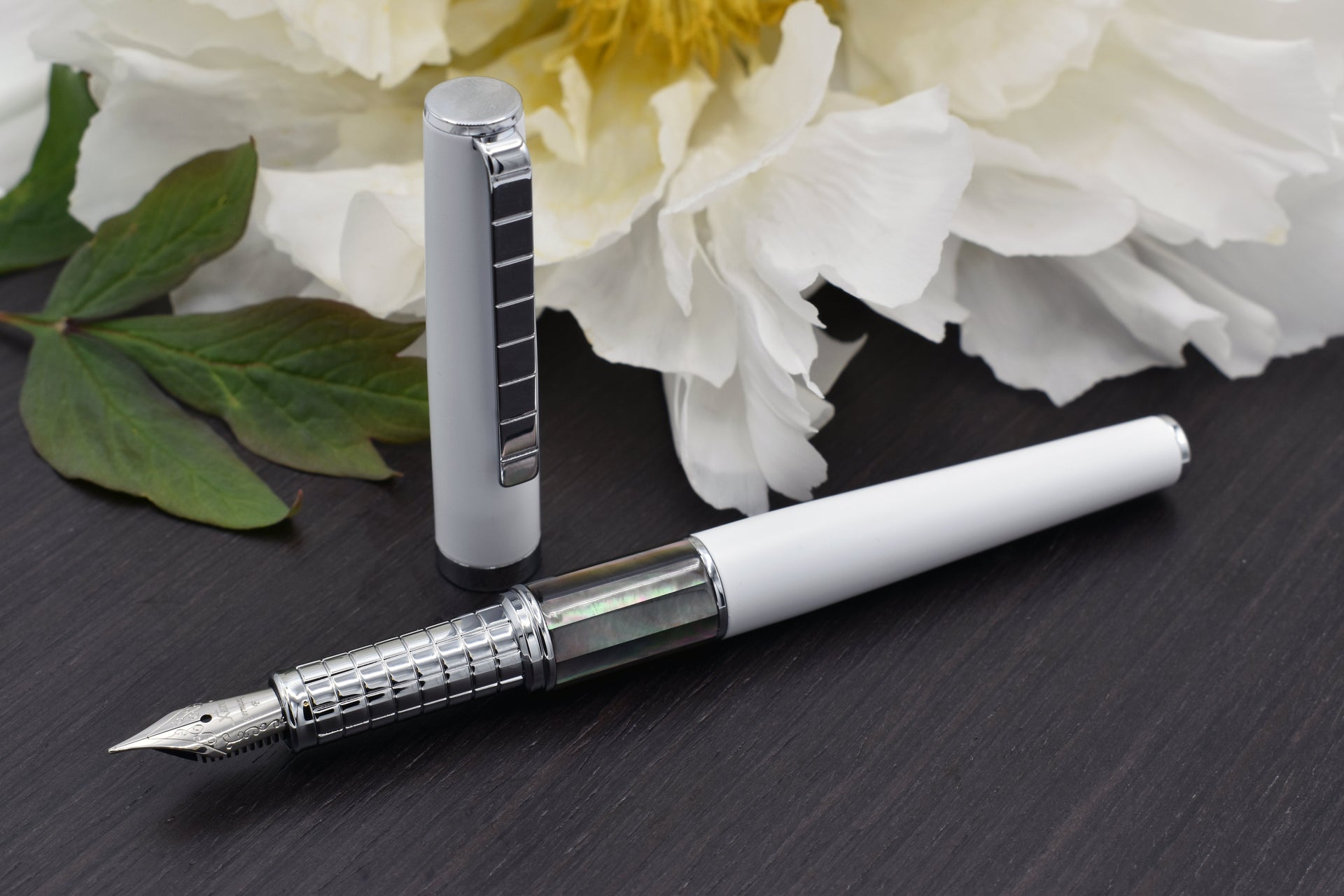 Xezo Speedmaster™ Tahitian Black Pearl White Fine Fountain Pen